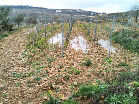 Château Belle-Vue, Lebanon