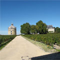 Chateau Latour