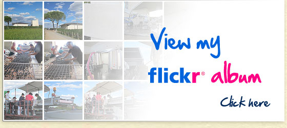 View my Flickr Album